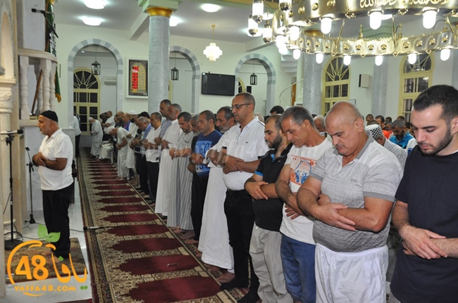 nozha mosqueqk (3).JPG